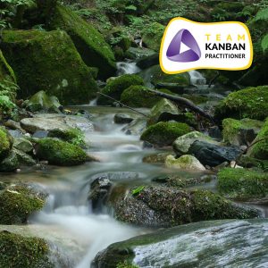 Formation Team Kanban Practitioner (TKP)